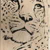 leopard