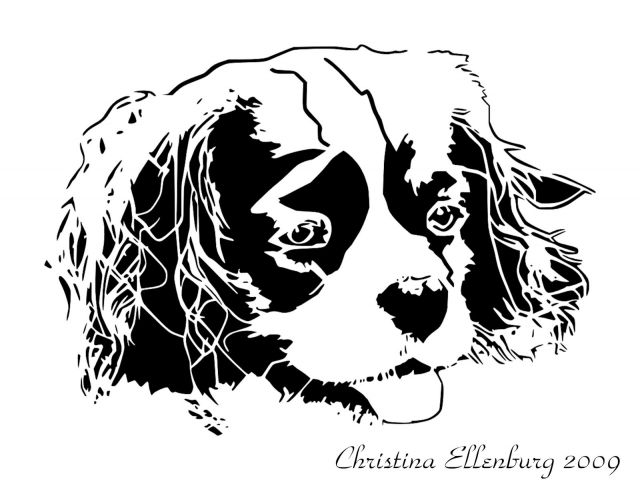 king charles cavalier coloring pages - photo #15