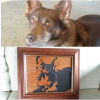 Dog Portrait