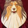 Shelty2